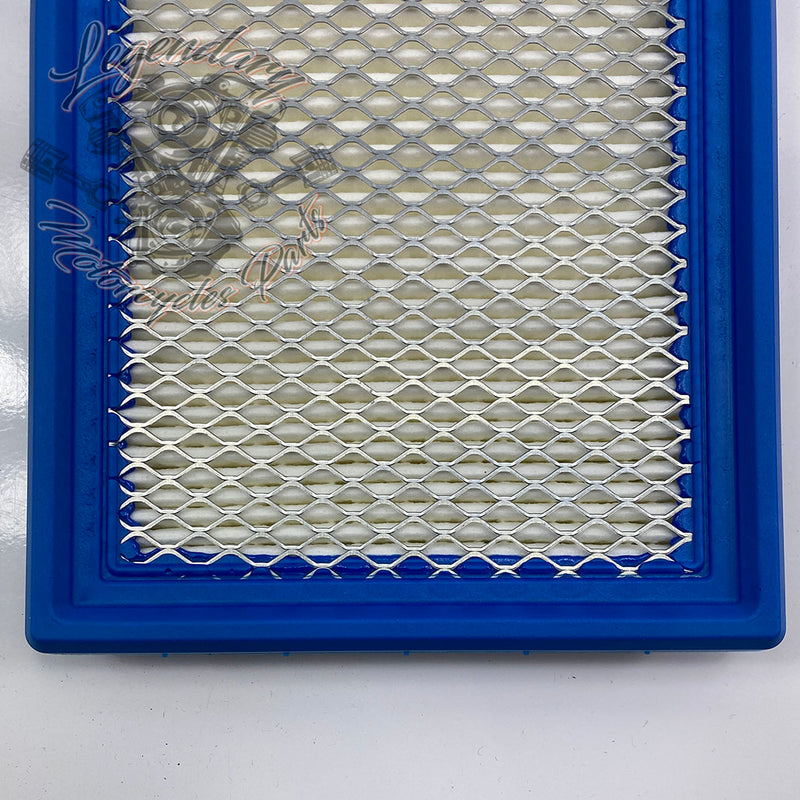 Elemento filtrante OEM P0213.1AMA