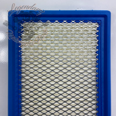 Elemento filtrante OEM P0213.1AMA