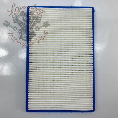 Elemento filtrante OEM P0213.1AMA