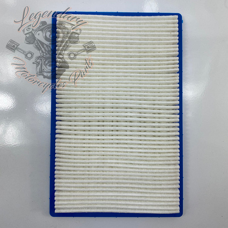 Elemento filtrante OEM P0213.1AMA