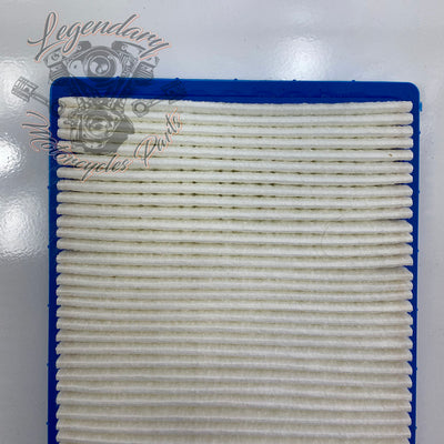 Elemento filtrante OEM P0213.1AMA