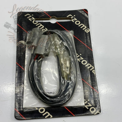 Snop zadnjih smernikov Ref RIZEE100H