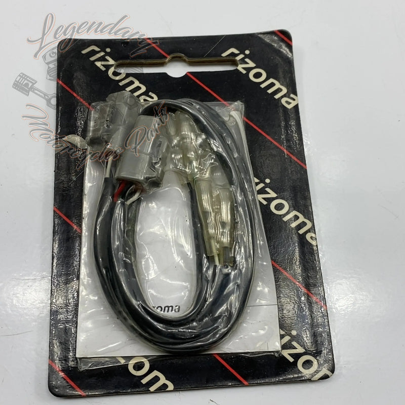 Snop zadnjih smernikov Ref RIZEE100H