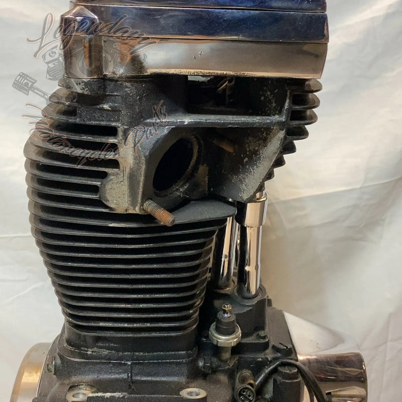 Motore Softail 1340 (80ci)