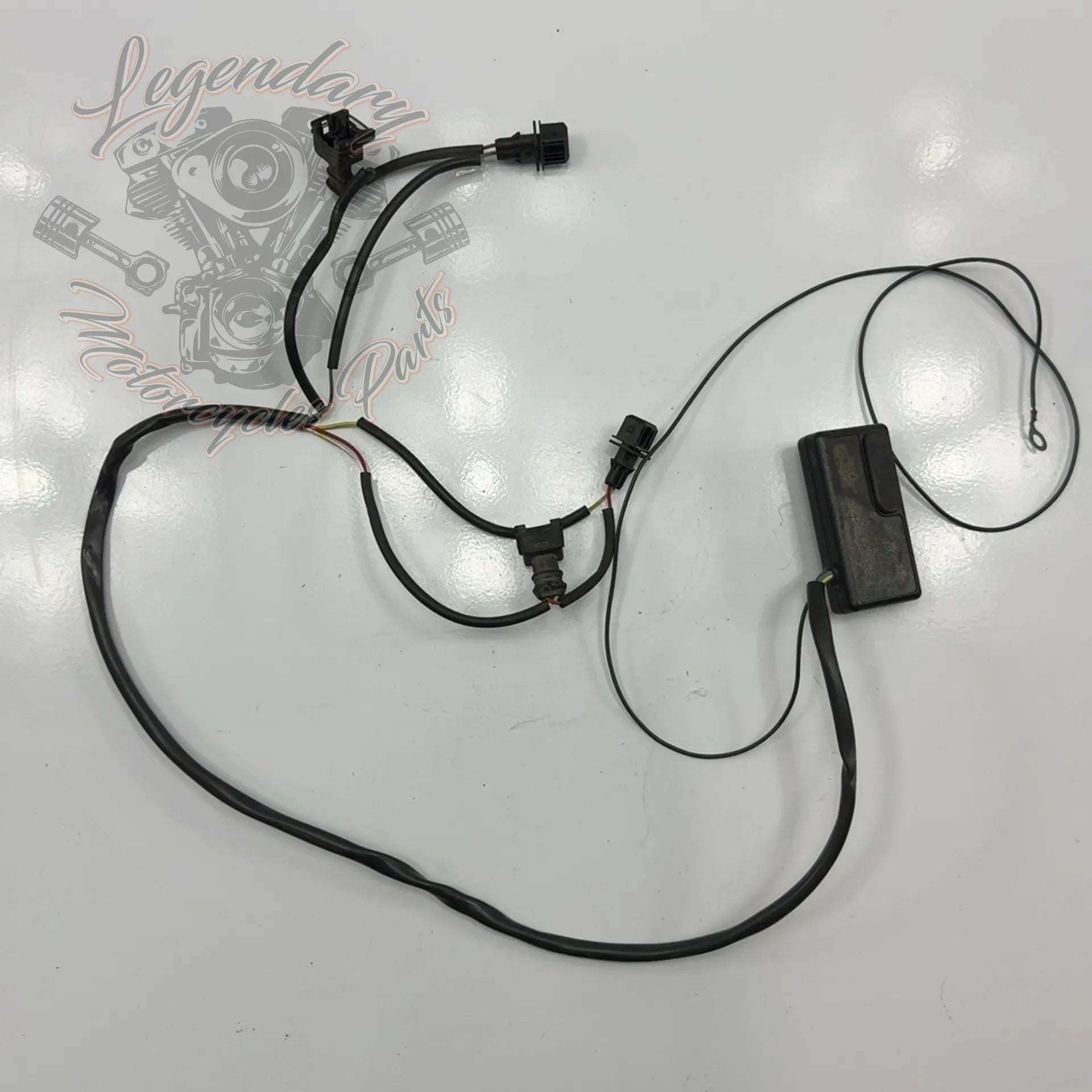 EFI Ignition Module – Legendary Parts
