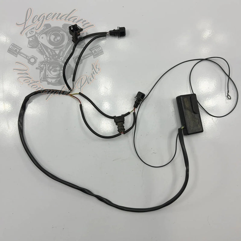 EFI Ignition Module – Legendary Parts