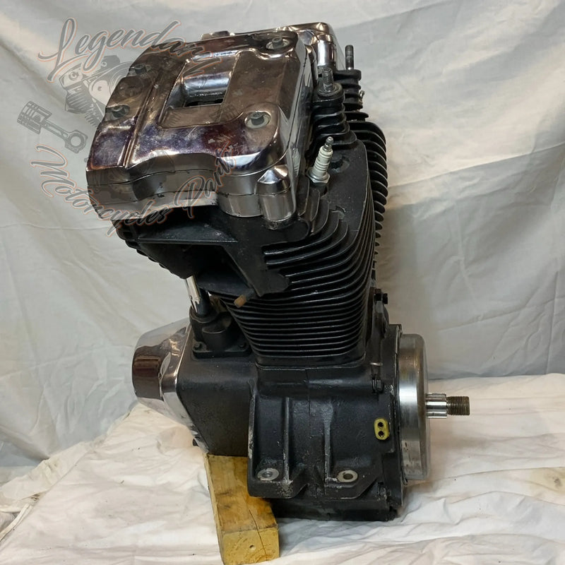 Motore Softail 1340 (80ci)