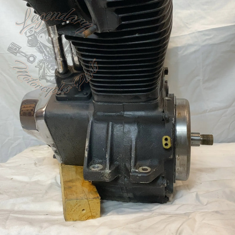 Motore Softail 1340 (80ci)