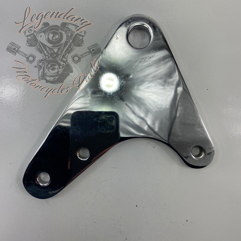 Rear Brake Caliper Support