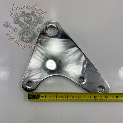 Rear Brake Caliper Support
