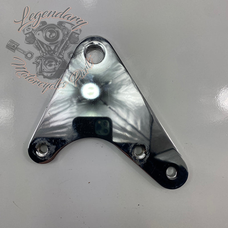 Rear Brake Caliper Support