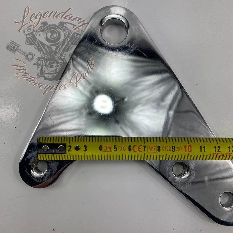 Rear Brake Caliper Support