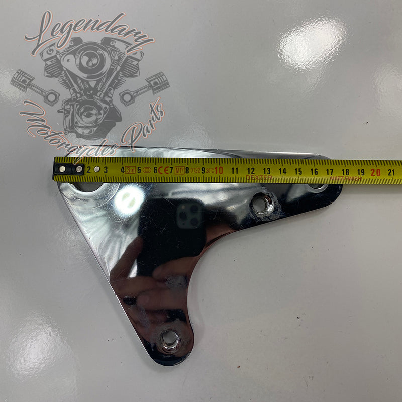Rear Brake Caliper Support
