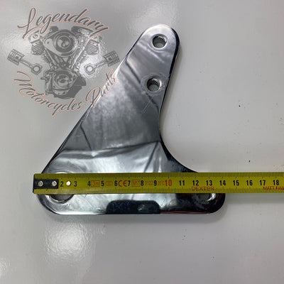 Rear Brake Caliper Support
