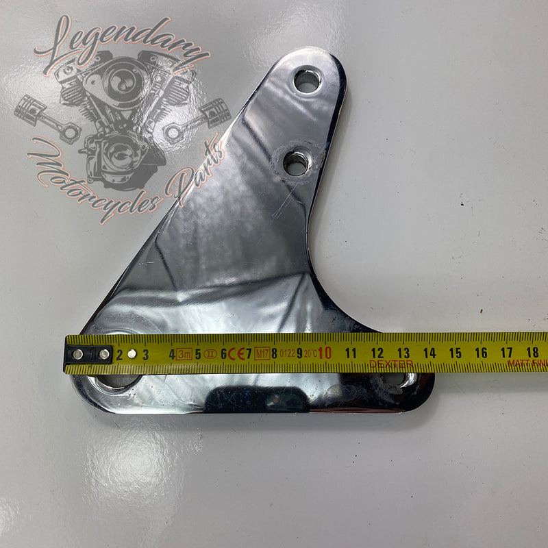 Rear Brake Caliper Support