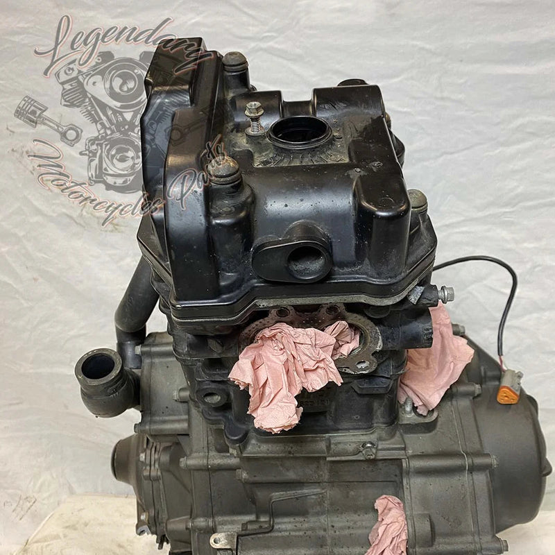 Moteur 1125R OEM T1130.2AM