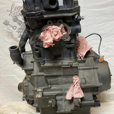 Moteur 1125R OEM T1130.2AM