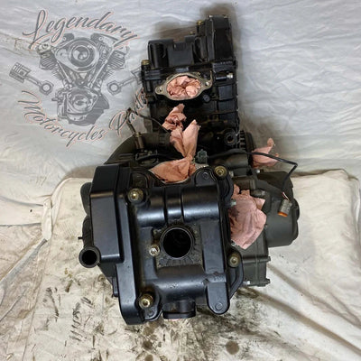 Moteur 1125R OEM T1130.2AM