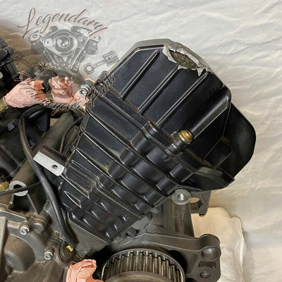 Moteur 1125R OEM T1130.2AM