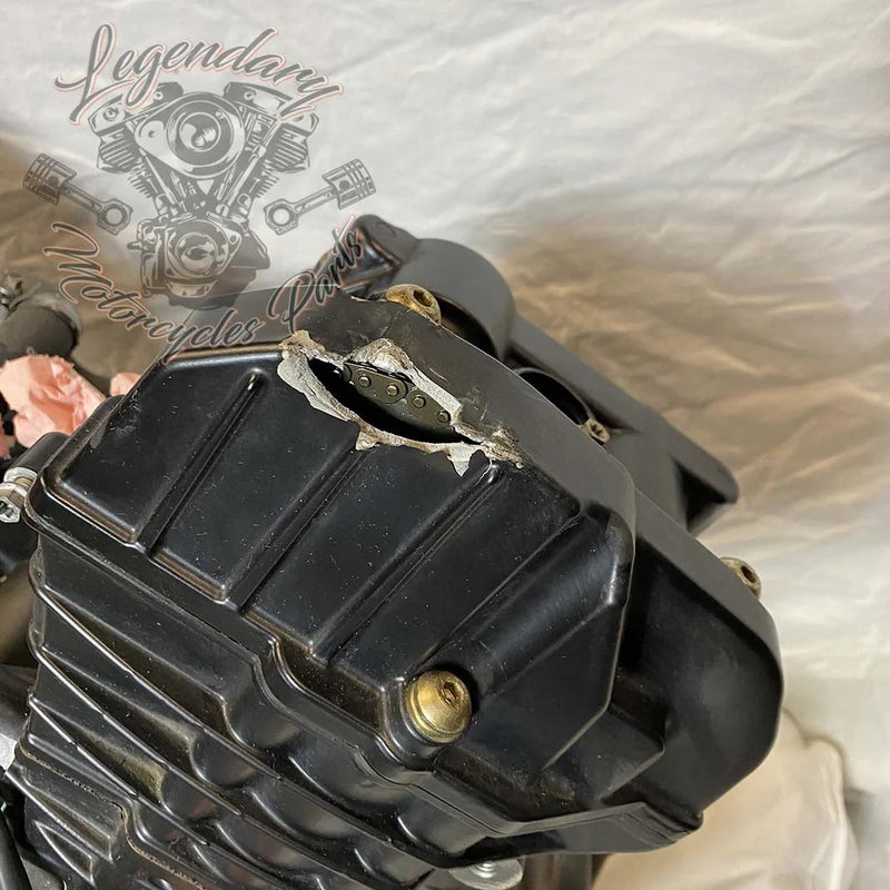 Moteur 1125R OEM T1130.2AM