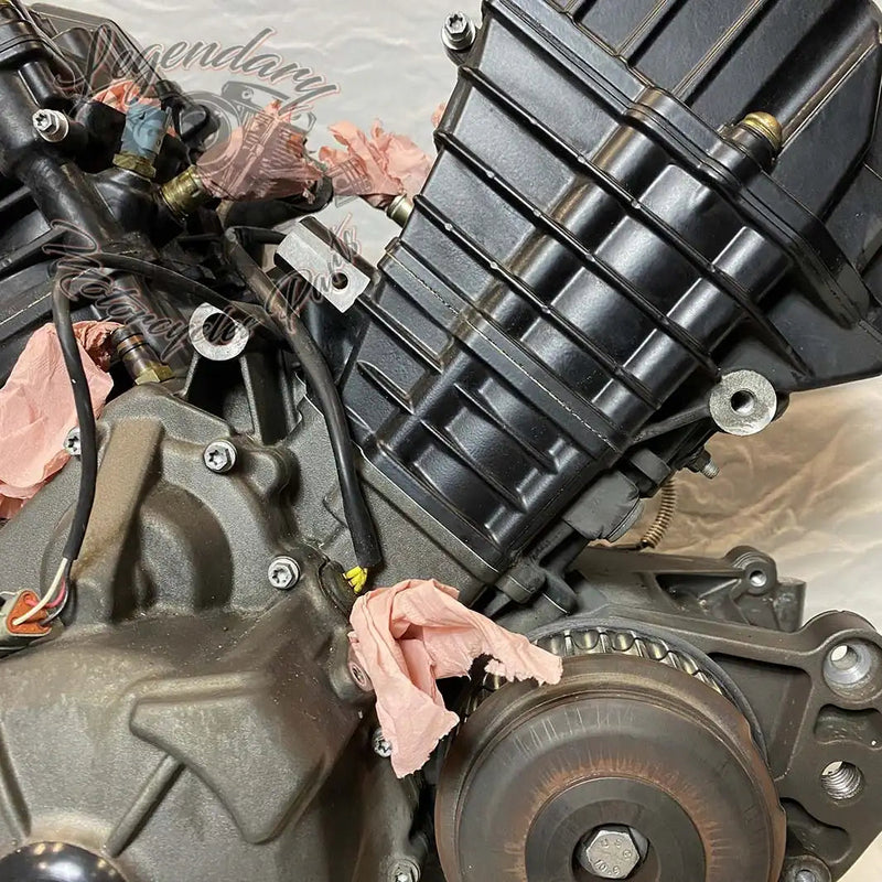 Moteur 1125R OEM T1130.2AM