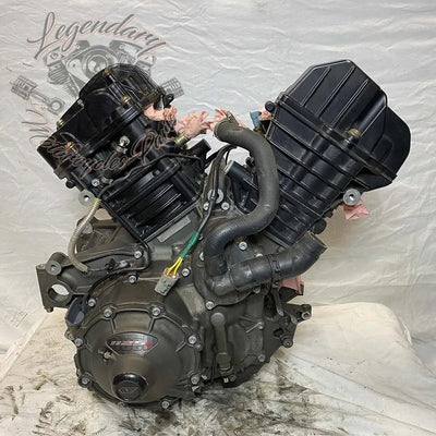 Moteur 1125R OEM T1130.2AM