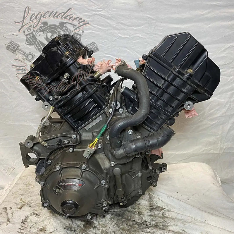 Moteur 1125R OEM T1130.2AM