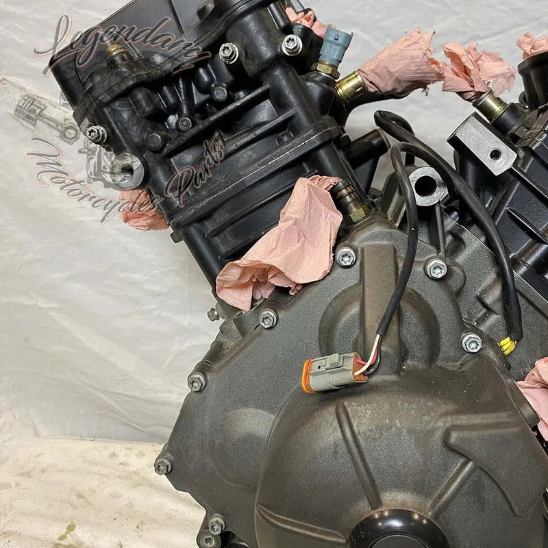 Moteur 1125R OEM T1130.2AM