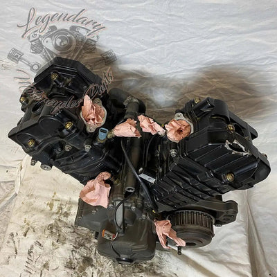 Moteur 1125R OEM T1130.2AM