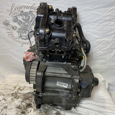 Moteur 1125R OEM T1130.2AM