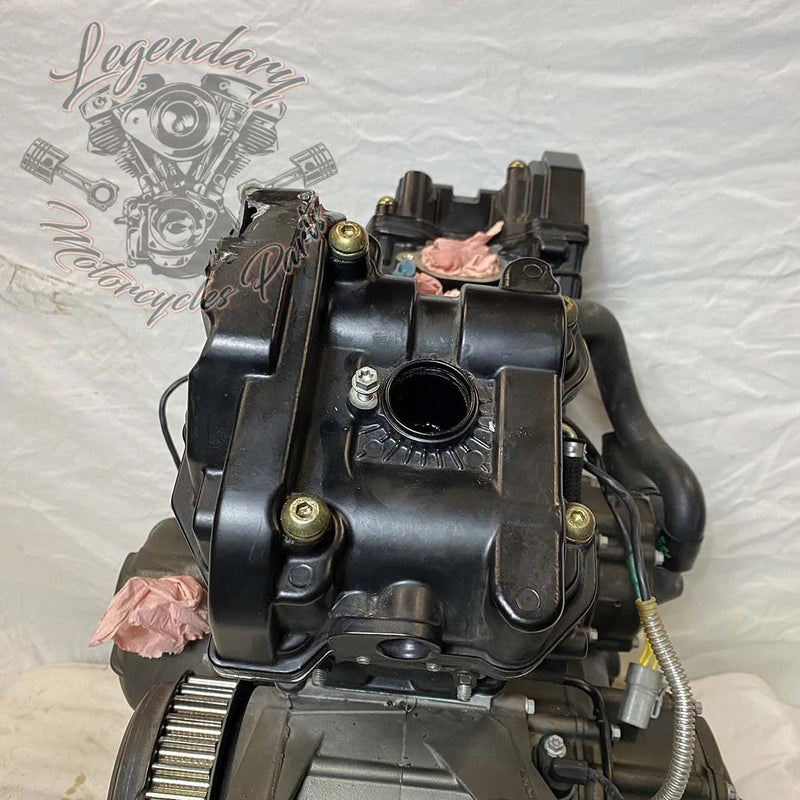 Moteur 1125R OEM T1130.2AM