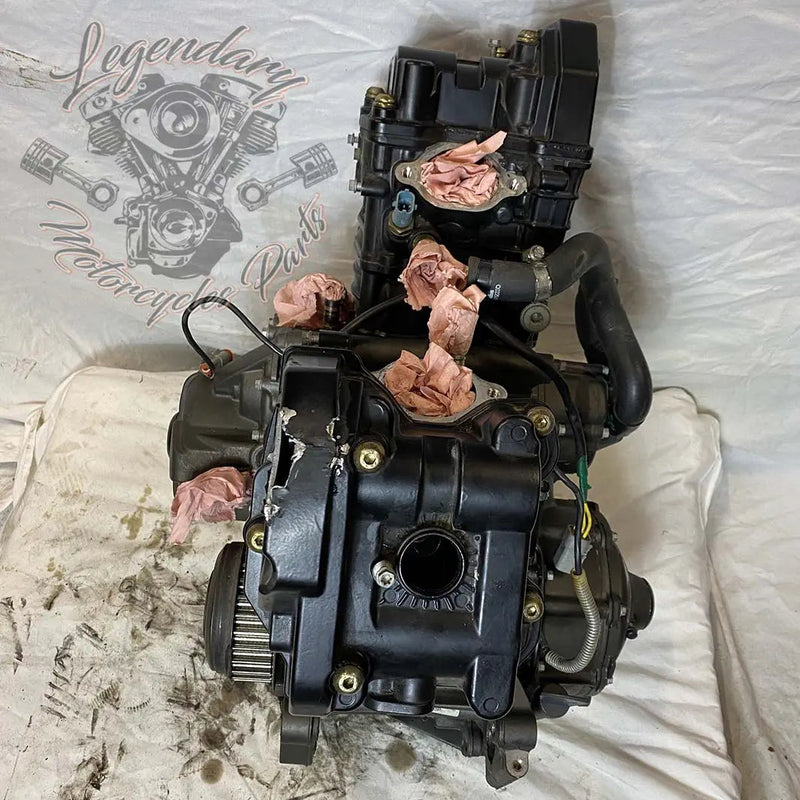 Moteur 1125R OEM T1130.2AM