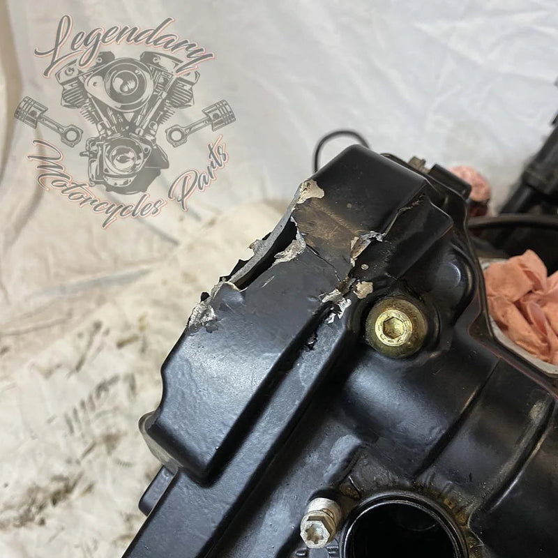 Moteur 1125R OEM T1130.2AM