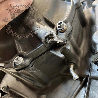 Moteur 1125R OEM T1130.2AM