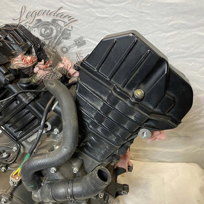 Moteur 1125R OEM T1130.2AM