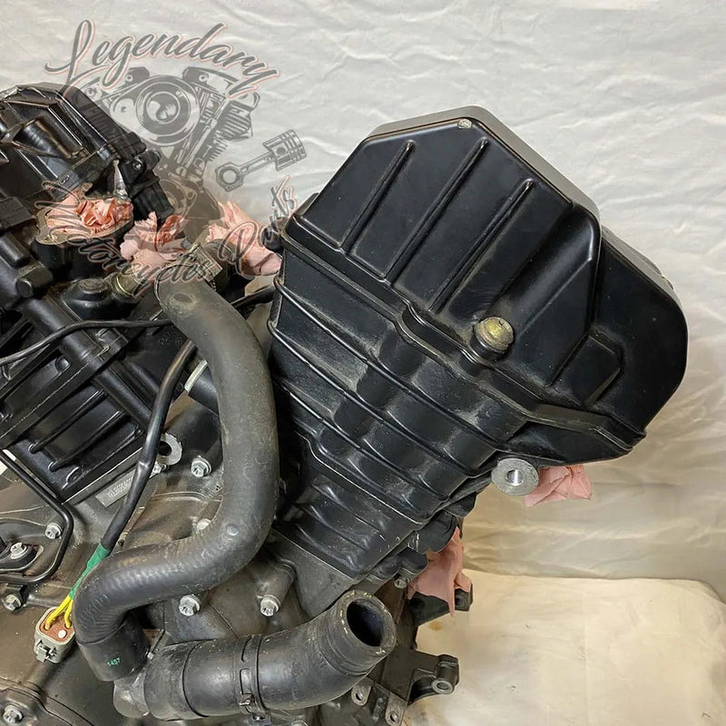 Moteur 1125R OEM T1130.2AM