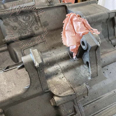 Moteur 1125R OEM T1130.2AM