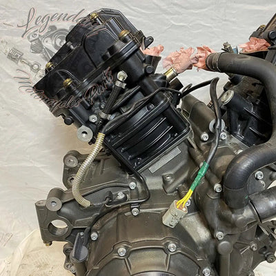 Moteur 1125R OEM T1130.2AM