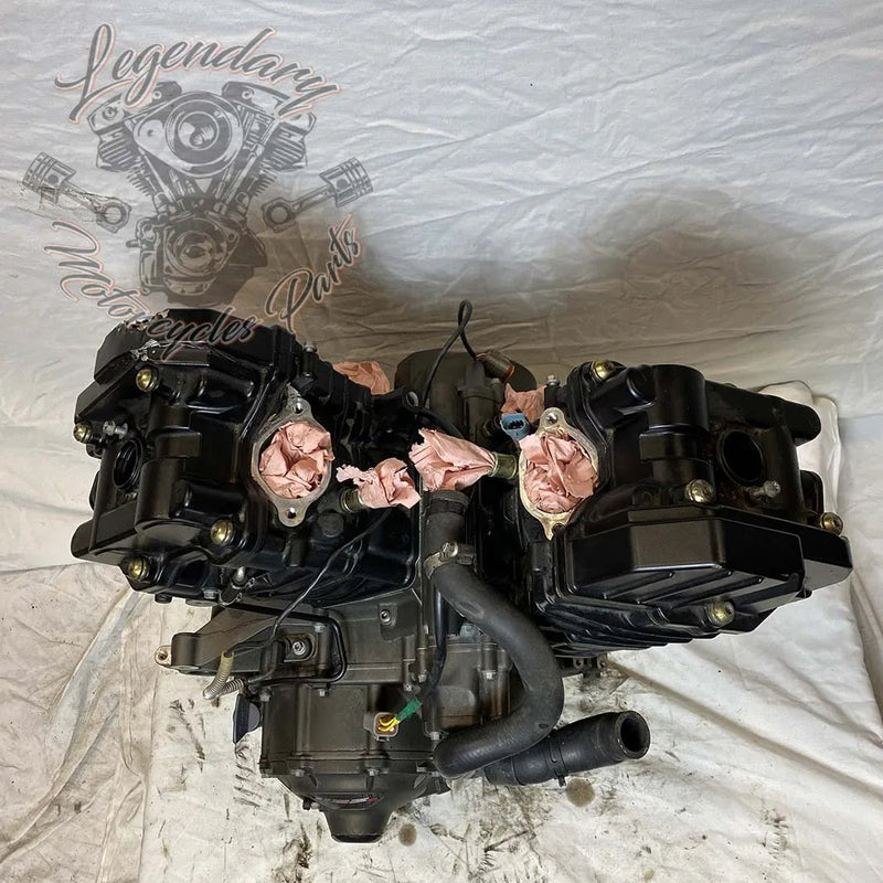 Moteur 1125R OEM T1130.2AM