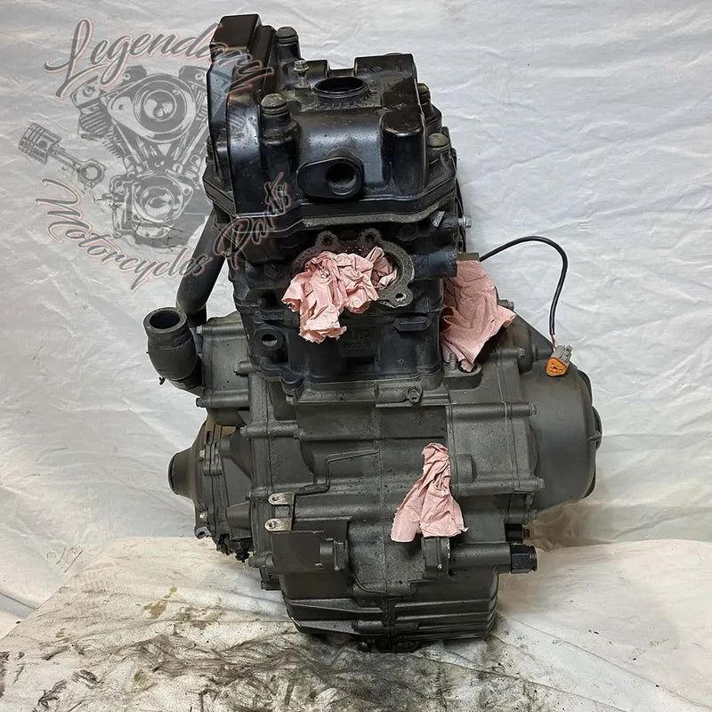 Moteur 1125R OEM T1130.2AM