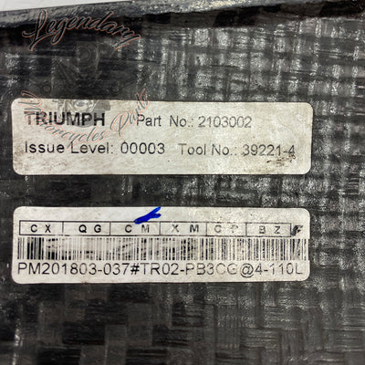 Caché de radiador izquierdo Triumph T2103002