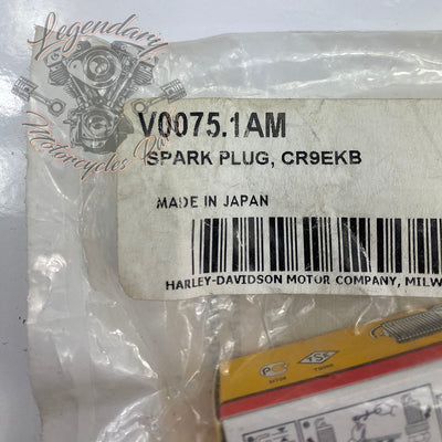 Spark plug CR9EKB OEM V0075.1AM