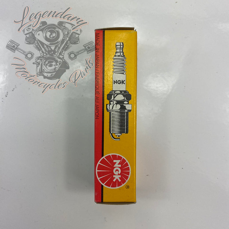 Spark plug CR9EKB OEM V0075.1AM