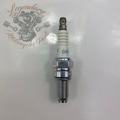Spark plug CR9EKB OEM V0075.1AM