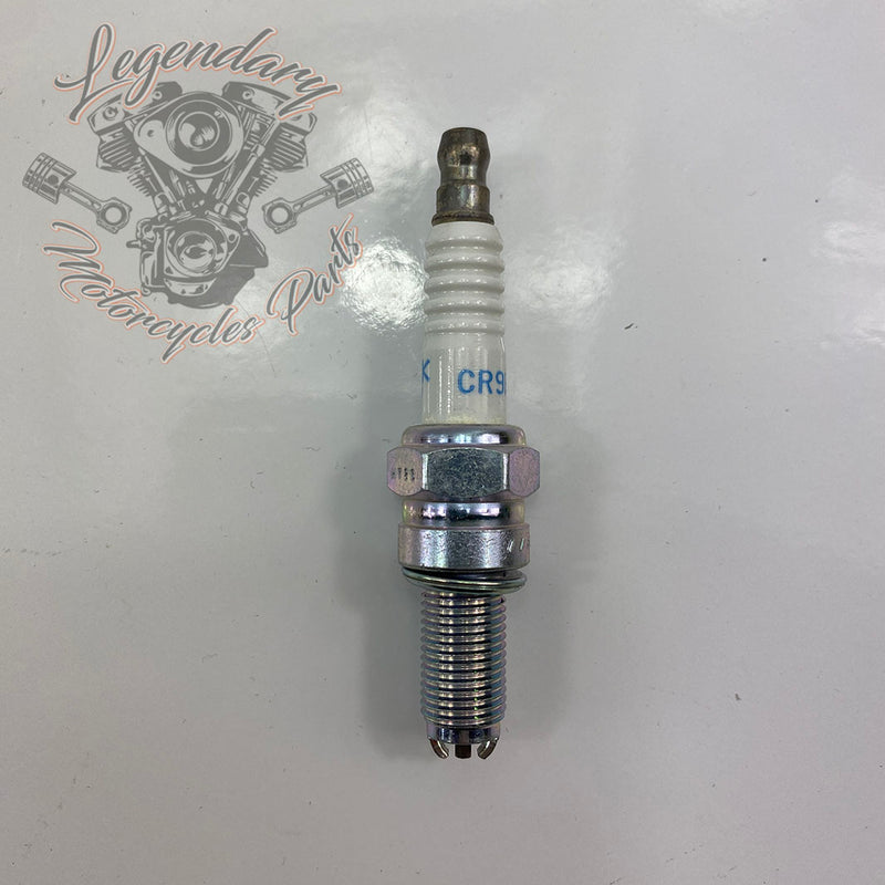 Spark plug CR9EKB OEM V0075.1AM