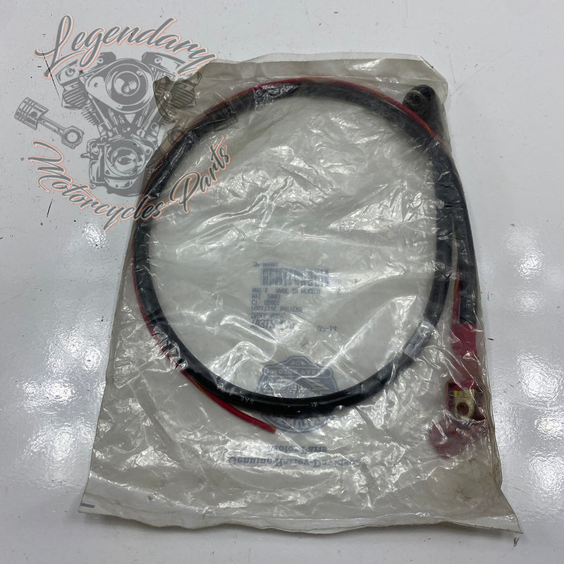 Cavo batteria positivo OEM Y0317.1AD