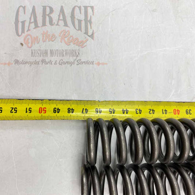 Fork Springs