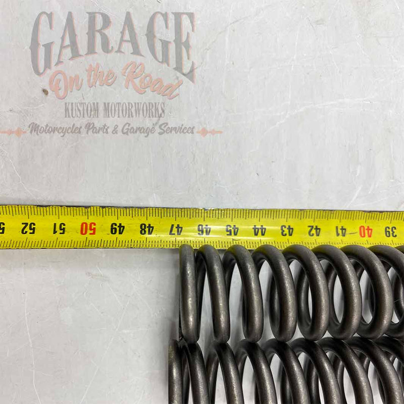 Fork Springs