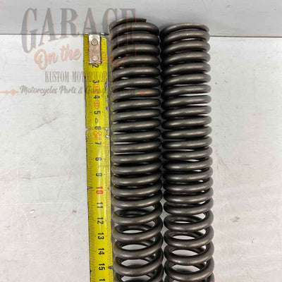 Fork Springs