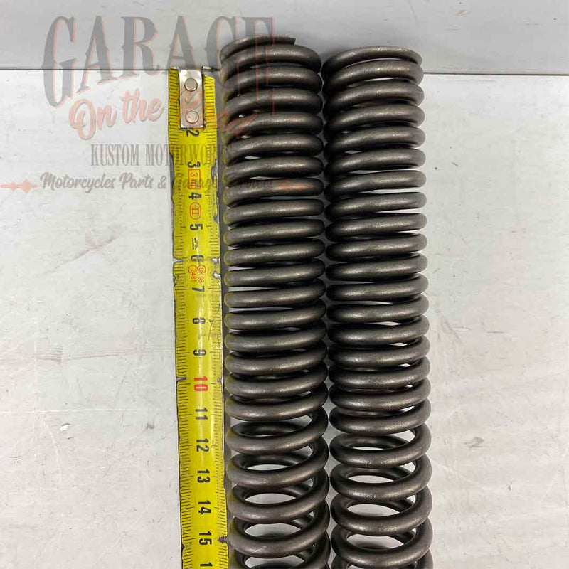 Fork Springs